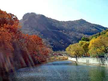 管家婆黑白马报图库，水晶发夹